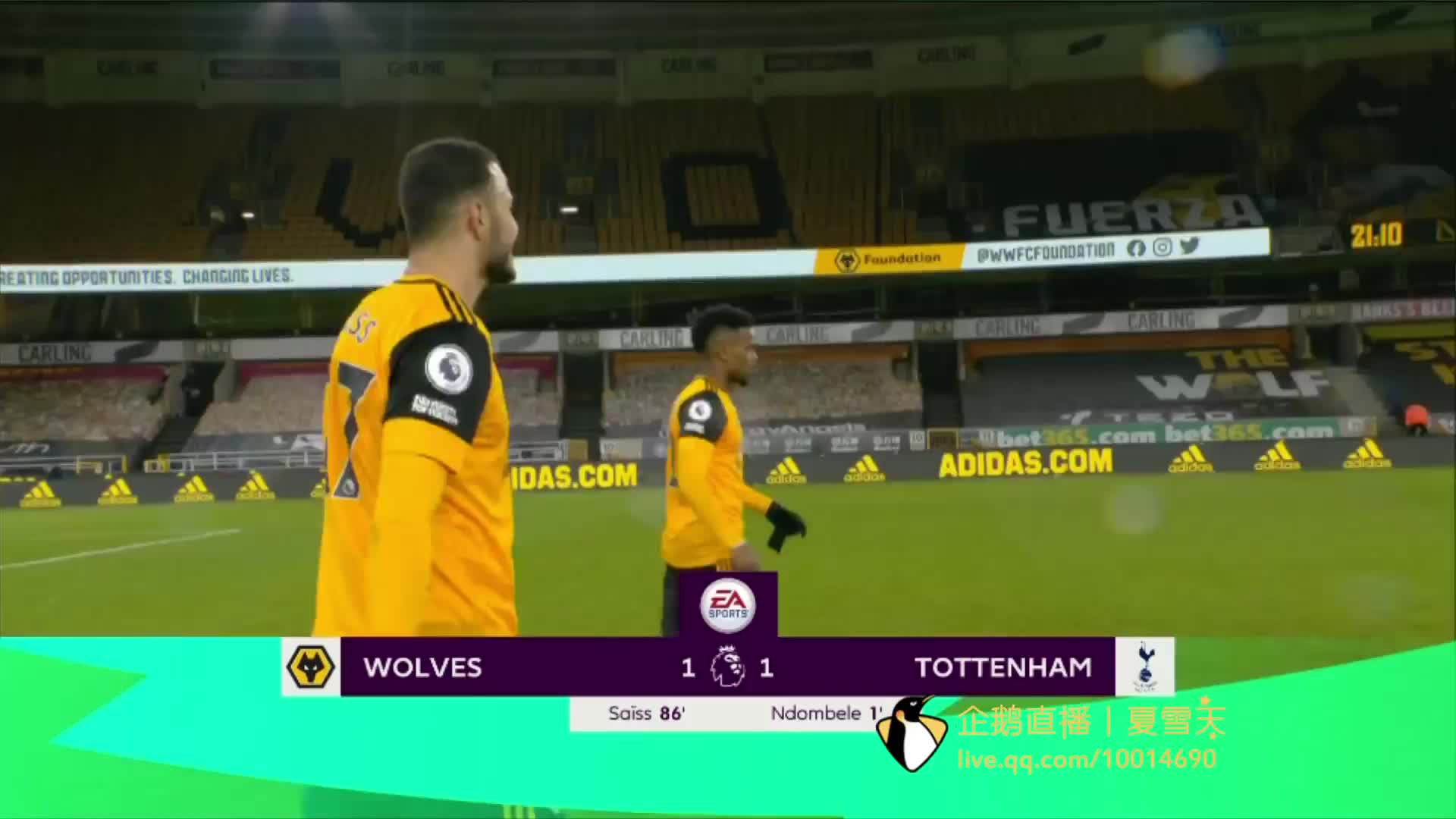 帕利尼亚的 帕利尼亚的