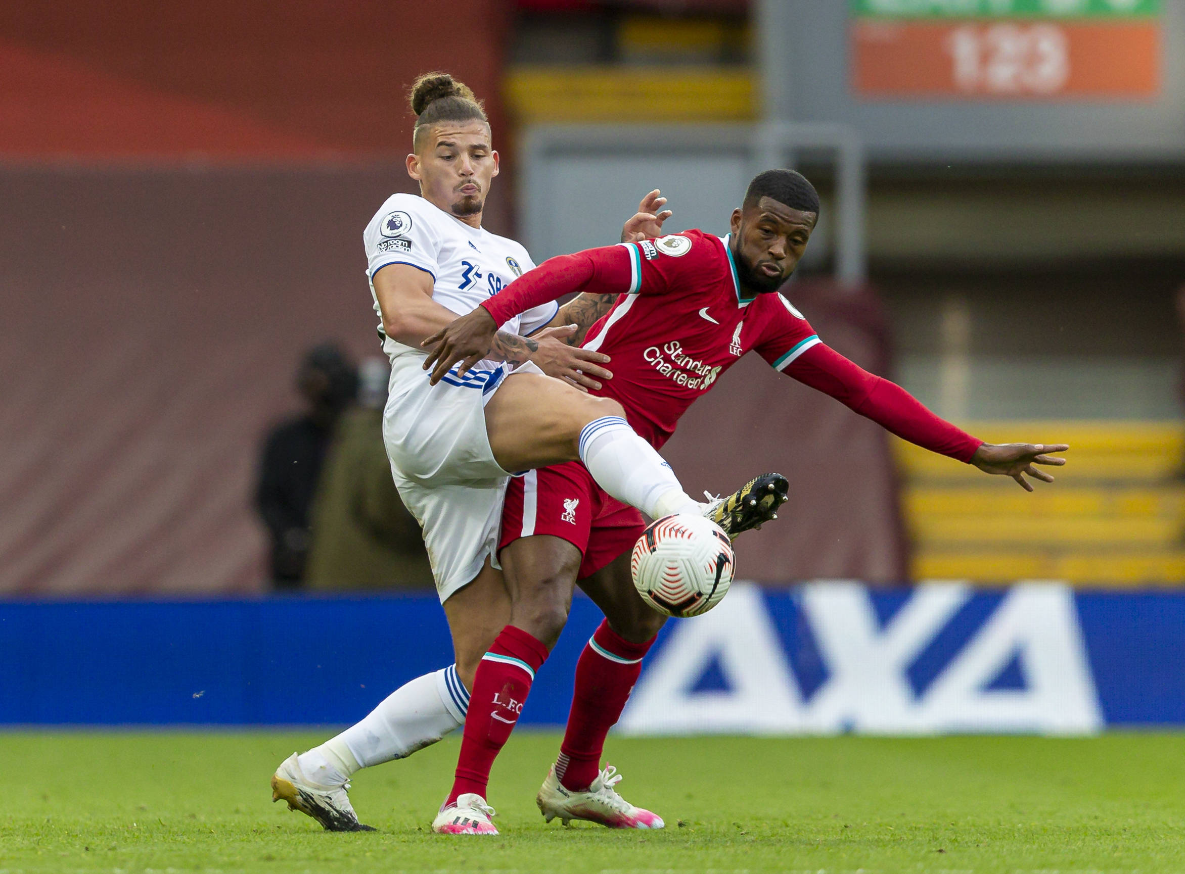 尼表现出极 尼表现出极