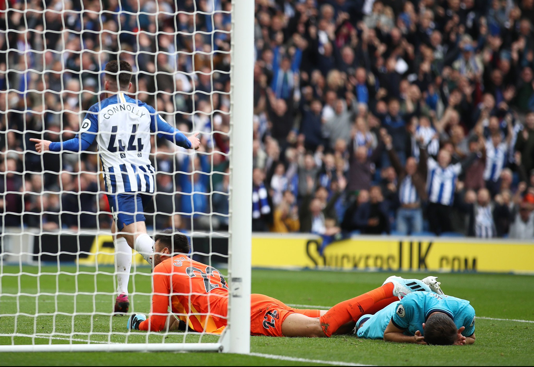 以广泛的经 以广泛的经